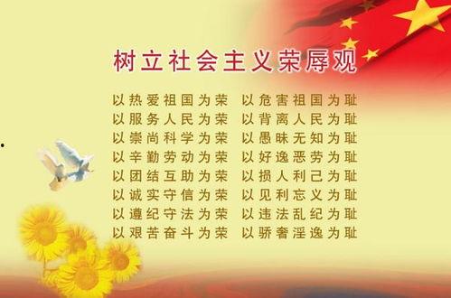 娱乐圈吃瓜有感,揭秘明星背后的真相与八卦